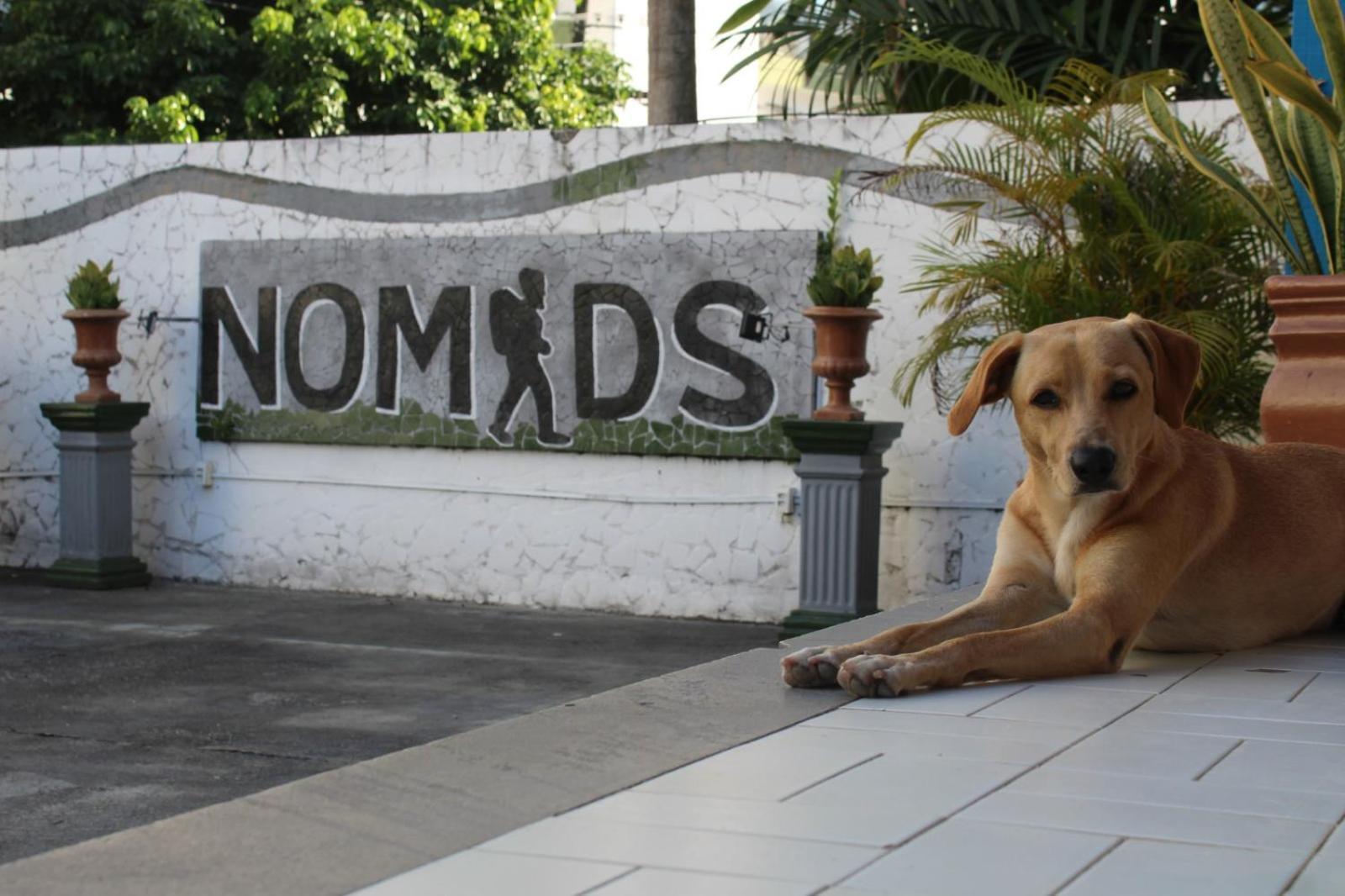 Nomads Hostel Multicultural & Coworking Сальвадор Экстерьер фото